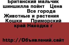 Британский мальчик шиншилла-пойнт › Цена ­ 5 000 - Все города Животные и растения » Кошки   . Приморский край,Находка г.